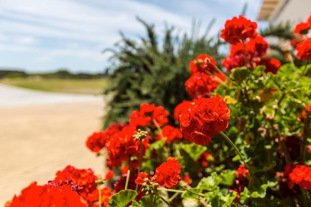 Cottages For Couples Port Fairy Esterno foto